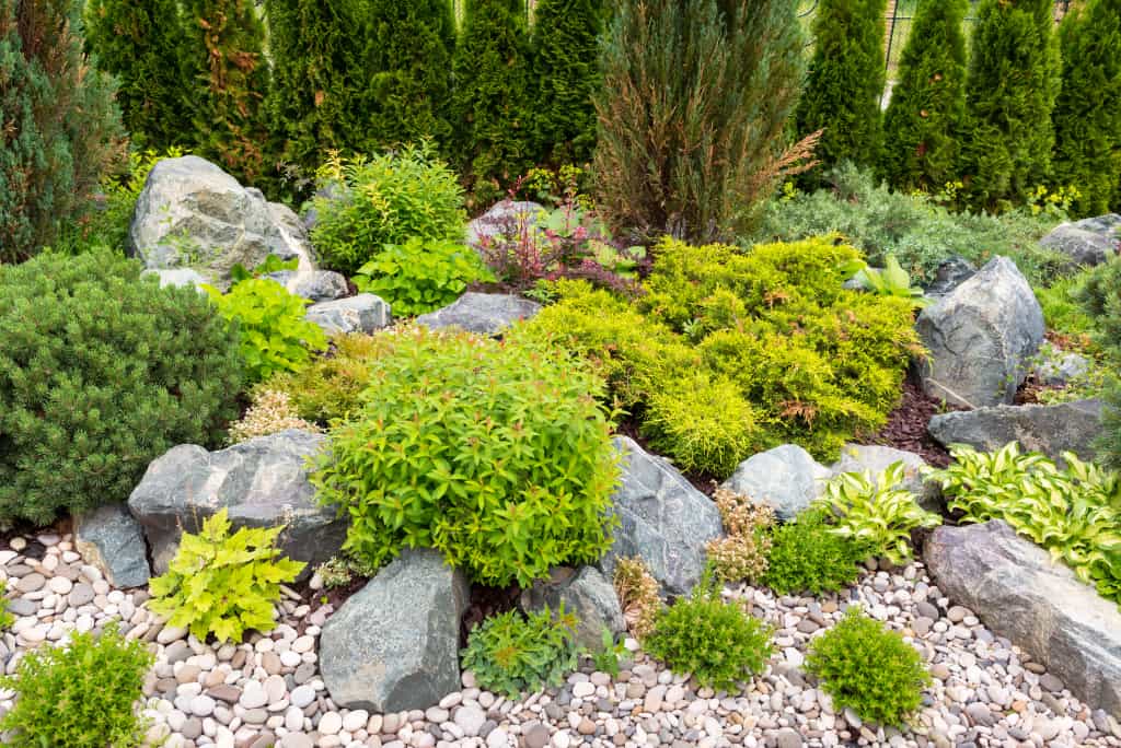 5-landscaping-mistakes-you-should-avoid