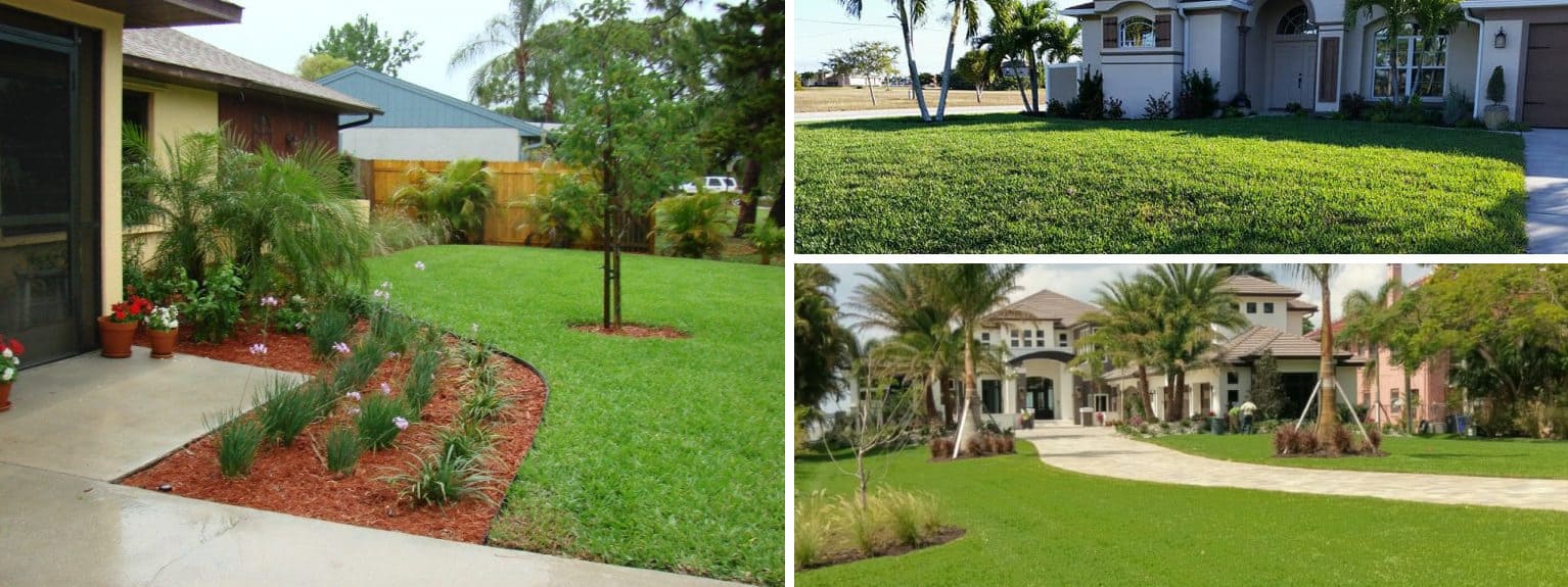 Season By Season Florida Landscape Maintenance