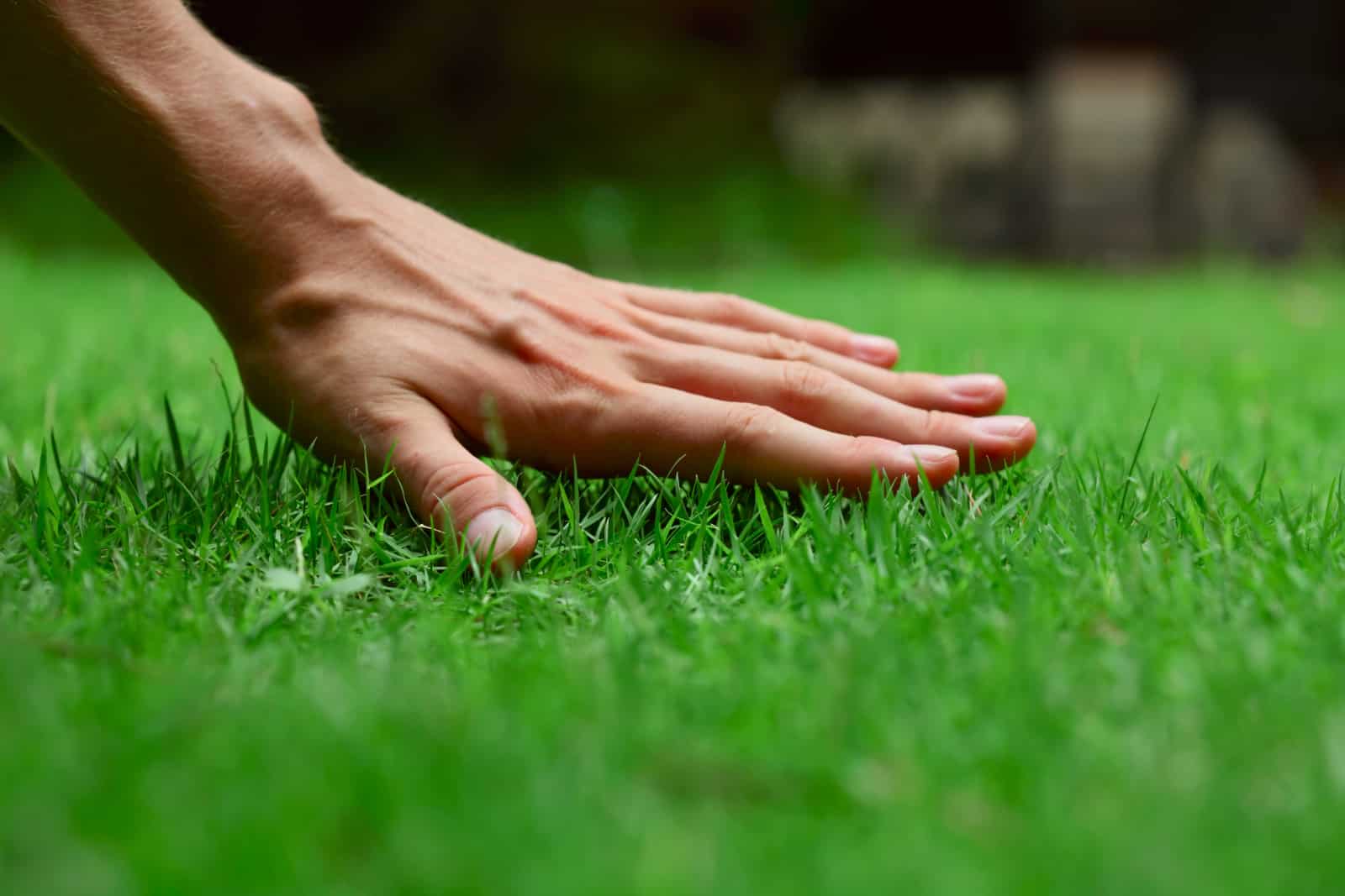 How to Achieve a Greener Lawn