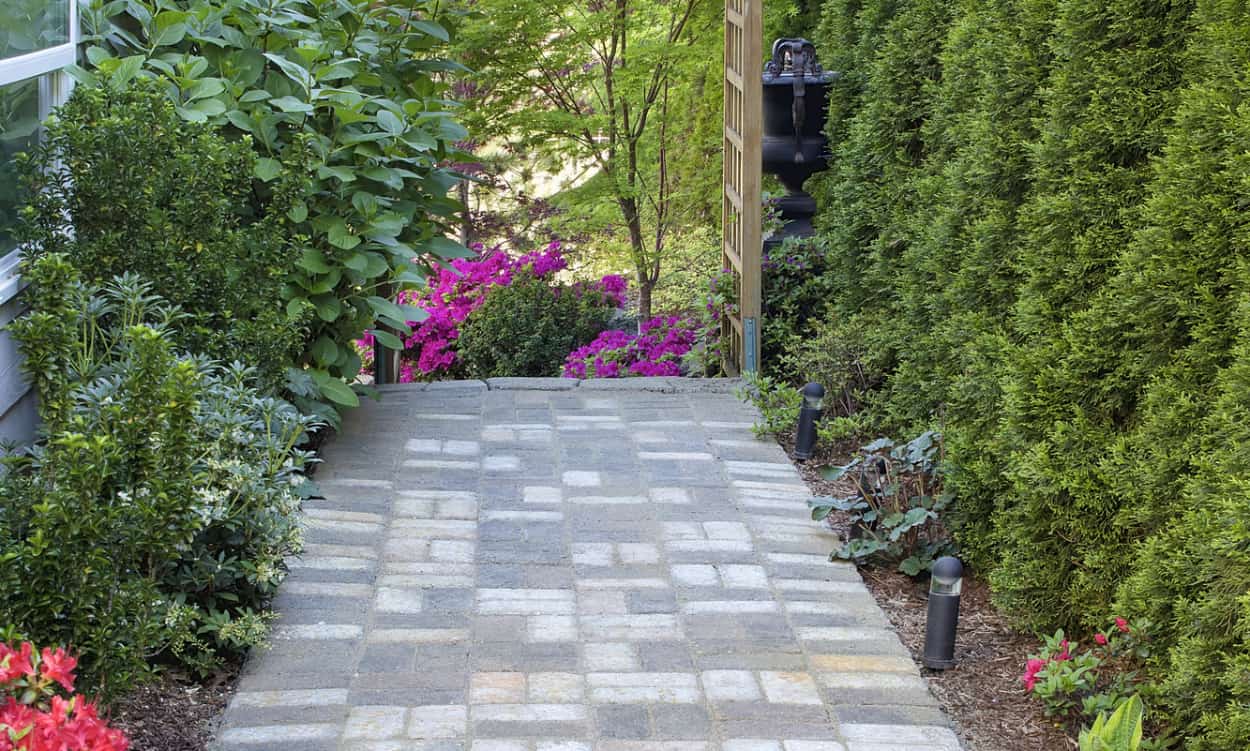 Landscaping Ideas for Your Side Yard