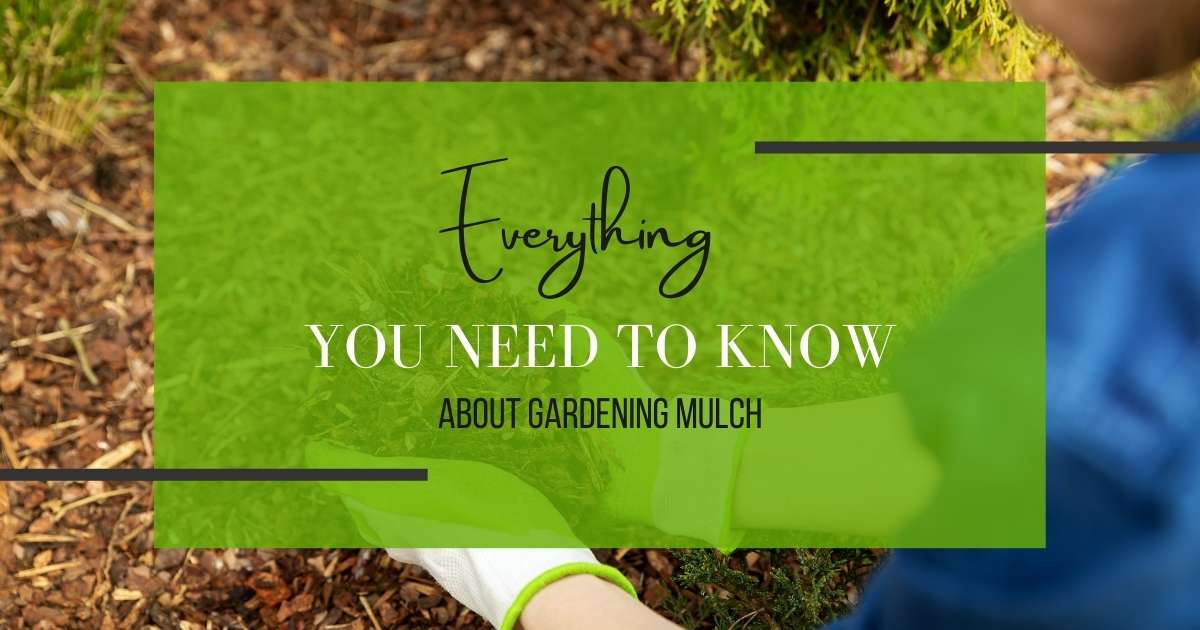 Everything You Need To Know About Gardening Mulch Cape Coral