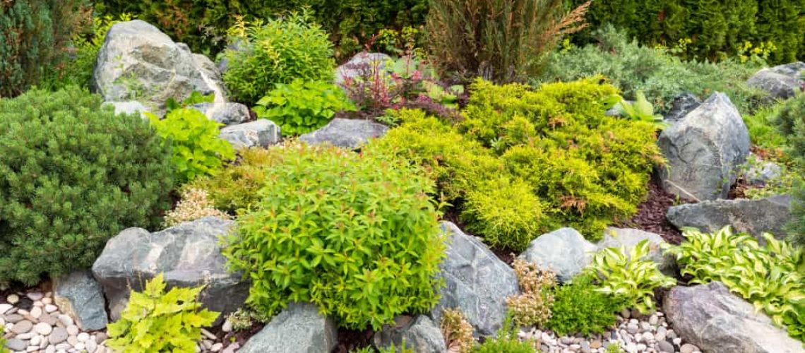 5-landscaping-mistakes-you-should-avoid