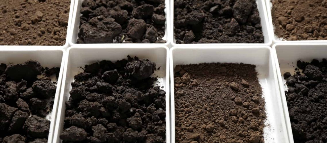 Florida Soil Types Landscaping in Cape Coral CWG Landscape