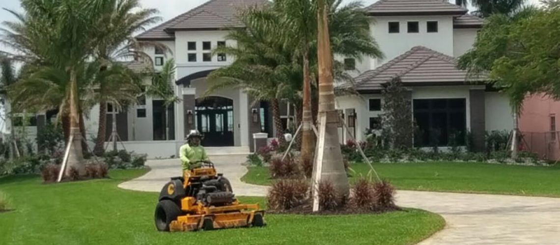 Hire-Professional-Landscaping