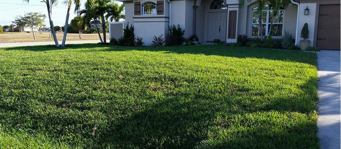 Keeping-Your-Lawn-in-Great-Shape-pic