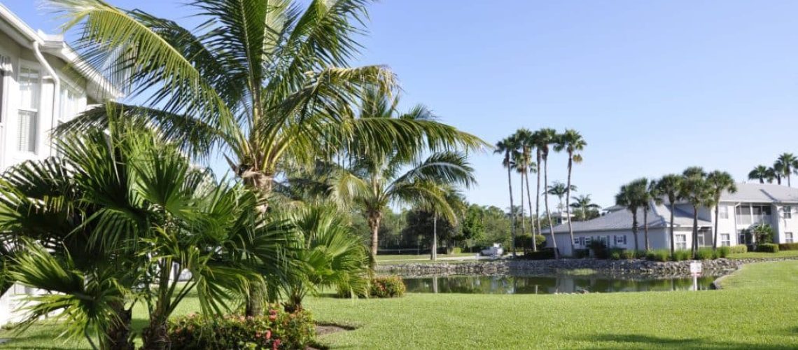 Palm-Trees-To-Match-Your-Florida-Landscape-1024x520