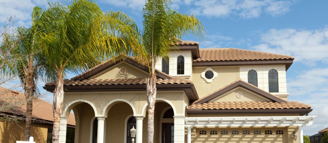 Protecting Your Florida Palms in The Summer