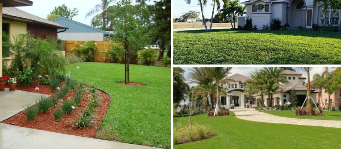 Season By Season Florida Landscape Maintenance