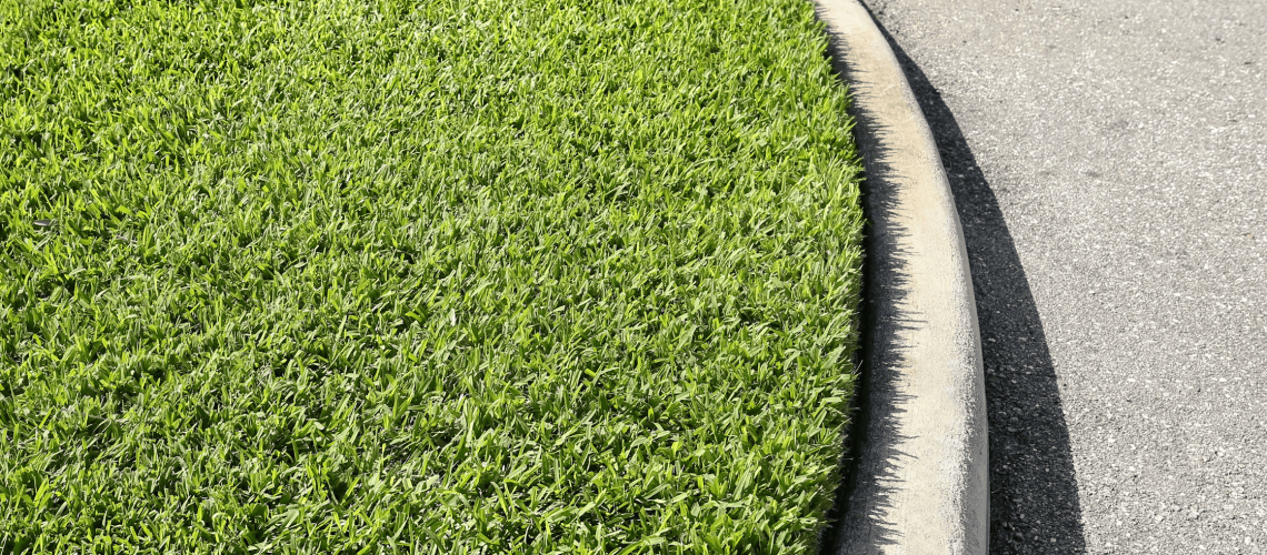 St Augustine Grass: Tips for a Thick and Green Lawn