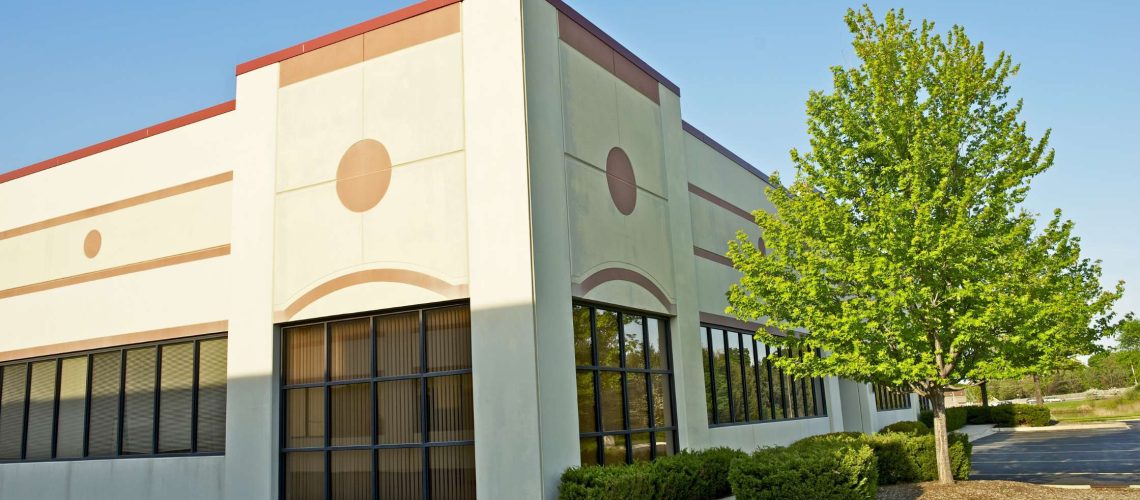 Why Dead Trees Are a Problem for Commercial Properties
